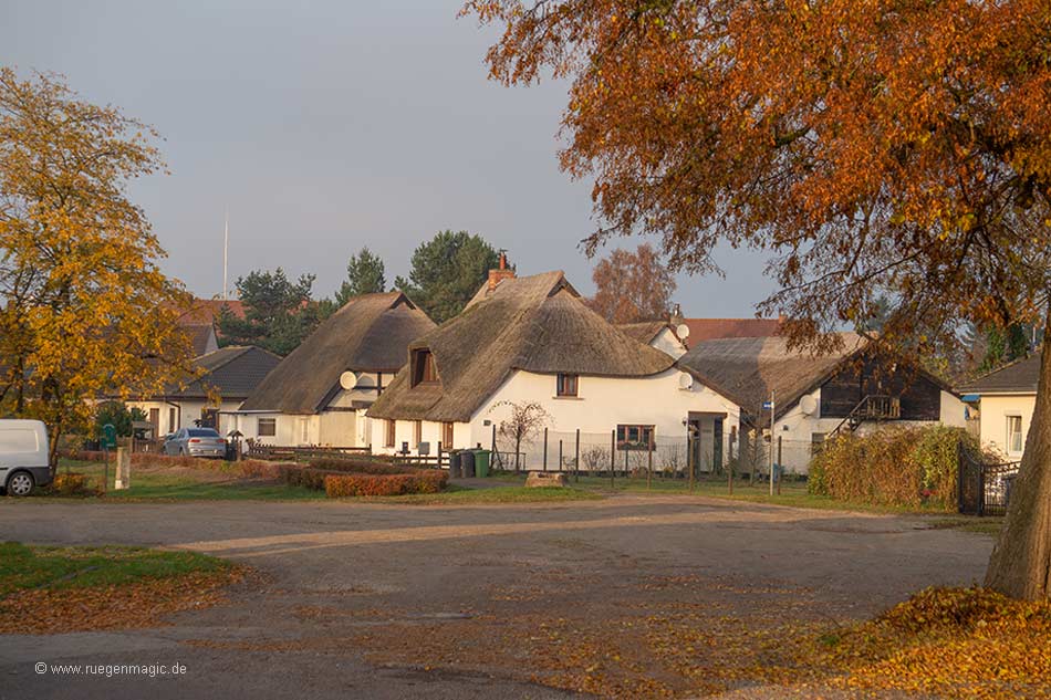Zirkower Dorfanger im Herbst