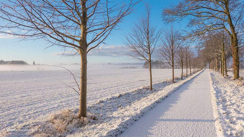 Radweg bei Posewald im Winter