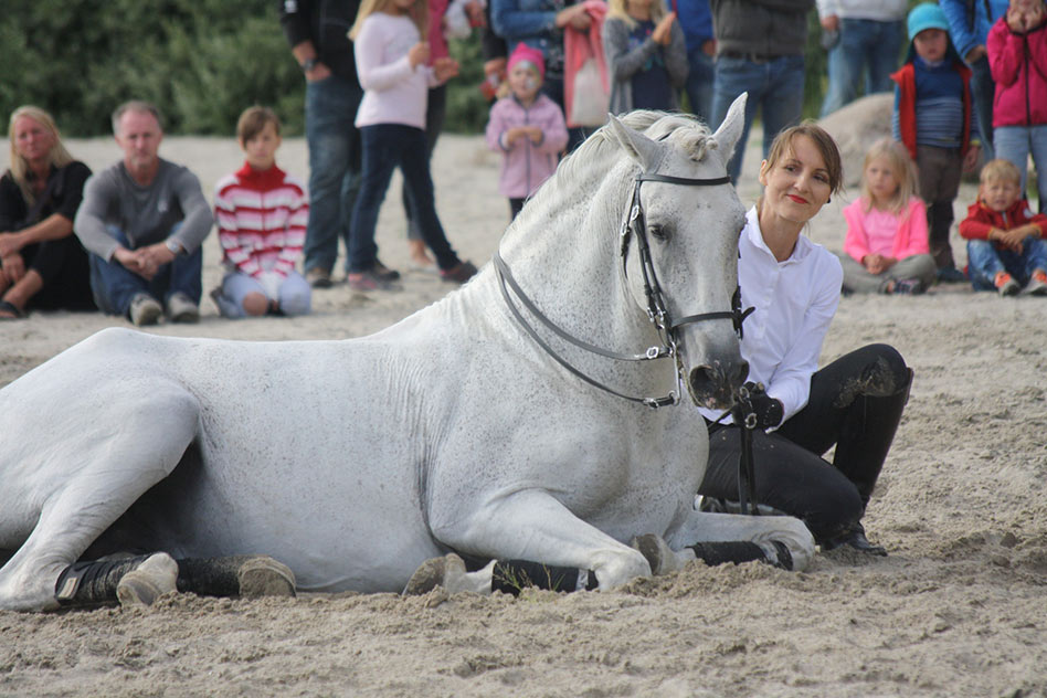 Kinder sind von Pferden begeistert