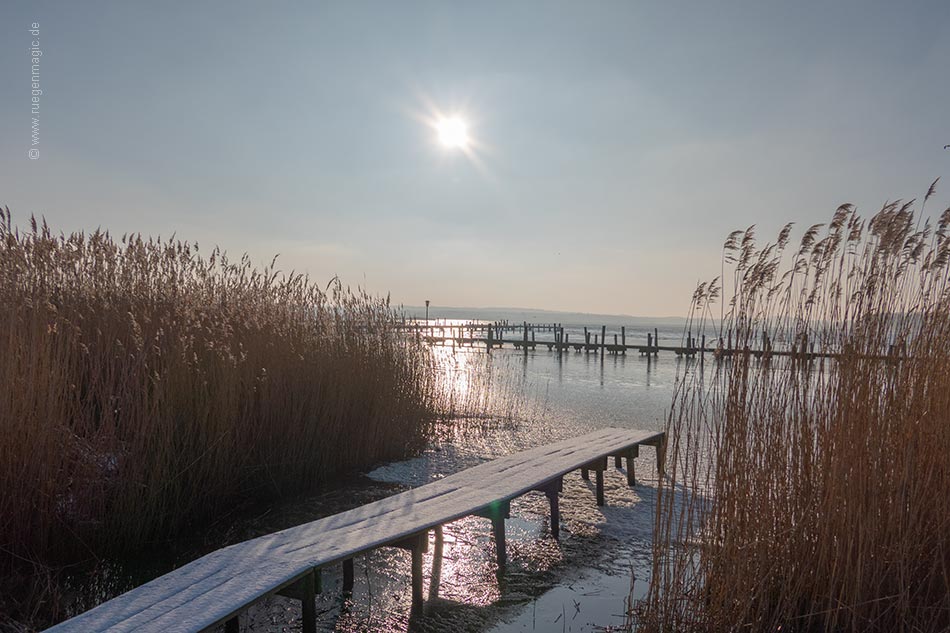 Winter am Selliner See