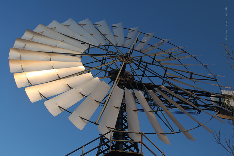 Die 9,90-Meter-Windrose des Windschöpfwerks Adler in Lobbe
