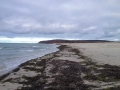 Der Ostseestrand der Insel Hiddensee