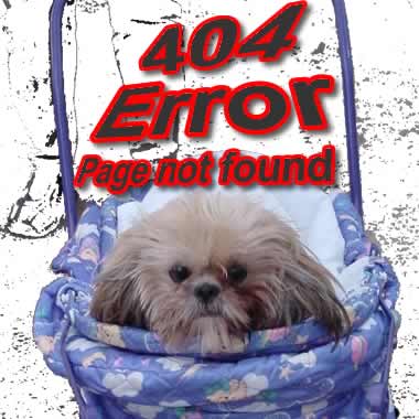 404 - page not found