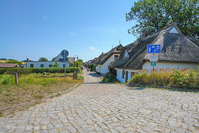 Die Dorfstraße von Neu-Reddevitz