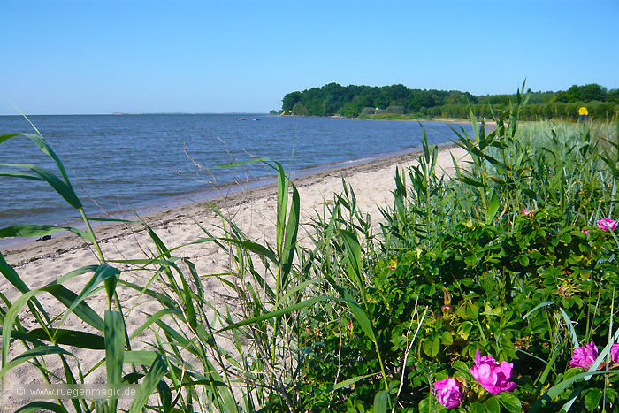 Der idyllische Strand bei Neuendorf