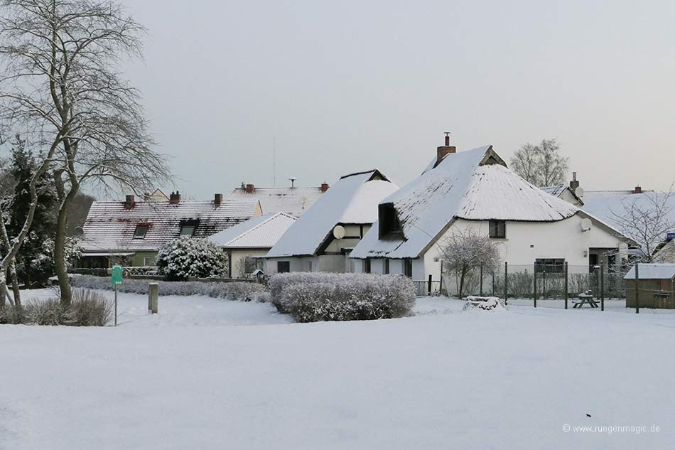 Zirkower Dorfanger im Winter